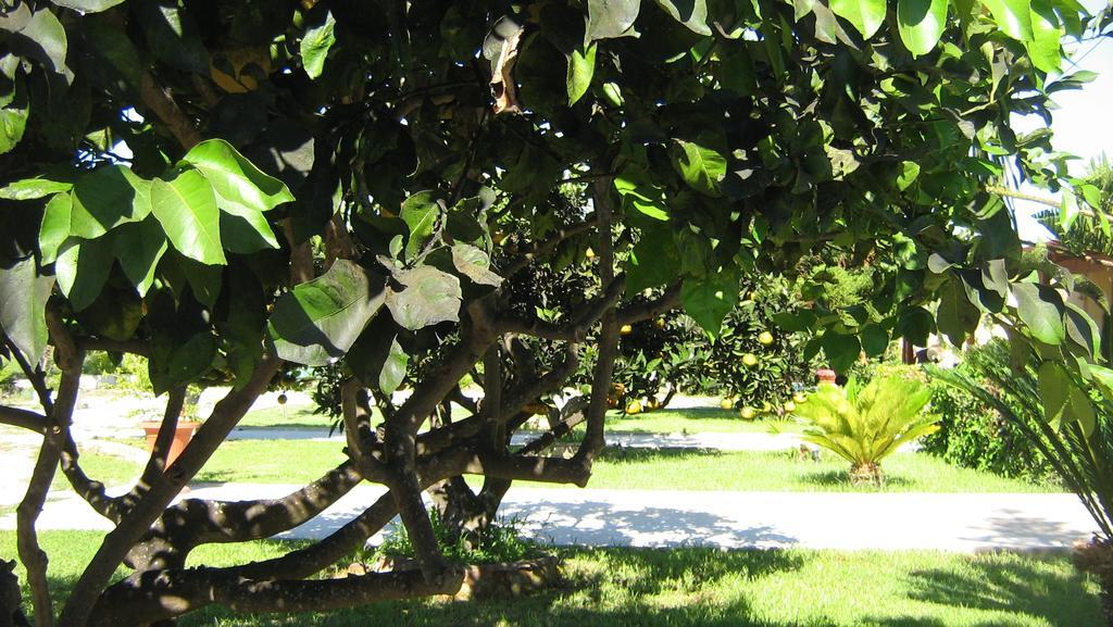 Tenuta Paifer Otranto Ngoại thất bức ảnh